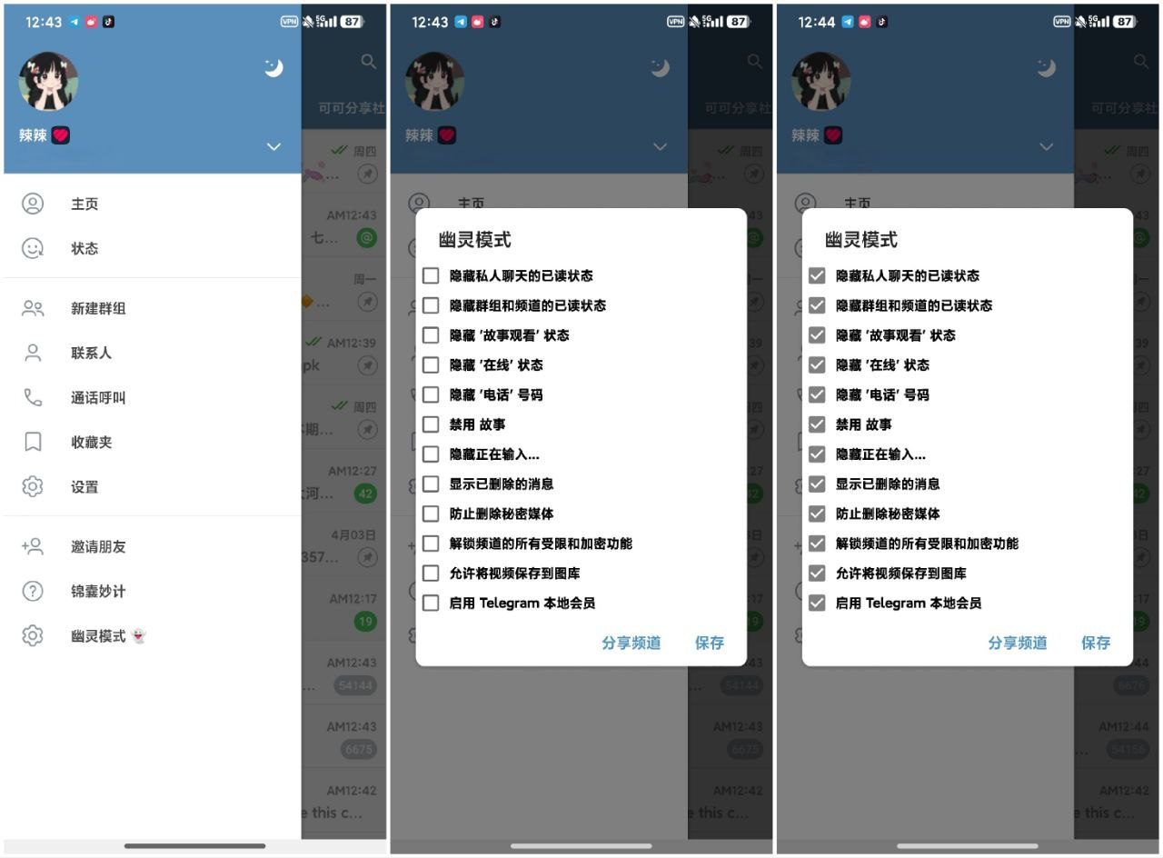 Telegram_12.8.2_多功能模块直装版