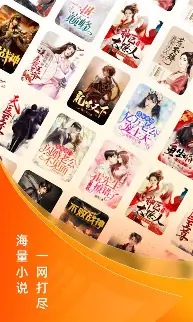 小说大全v9.9.9纯净版：去除引流弹窗，畅享免费海量书库